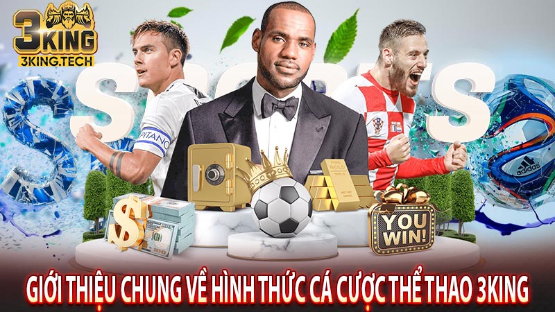 Giới thiệu chung về hình thức cá cược thể thao 3King